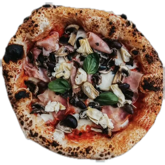 Pizza Capricciosa