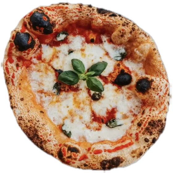 Pizza Margherita